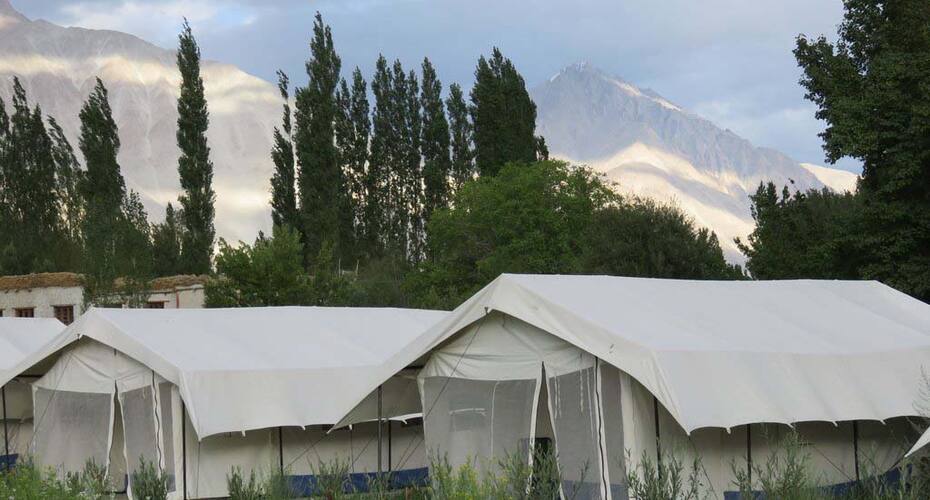 Heritage Thongsal, Nubra valley 5